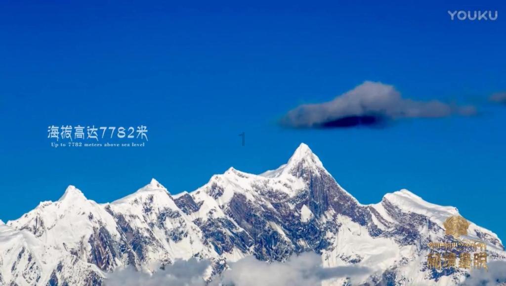 问答交流平台被造谣借马蓉炒作,王宝强维权获赔8万元,造谣者究竟居心何在?,专注解决你的疑惑