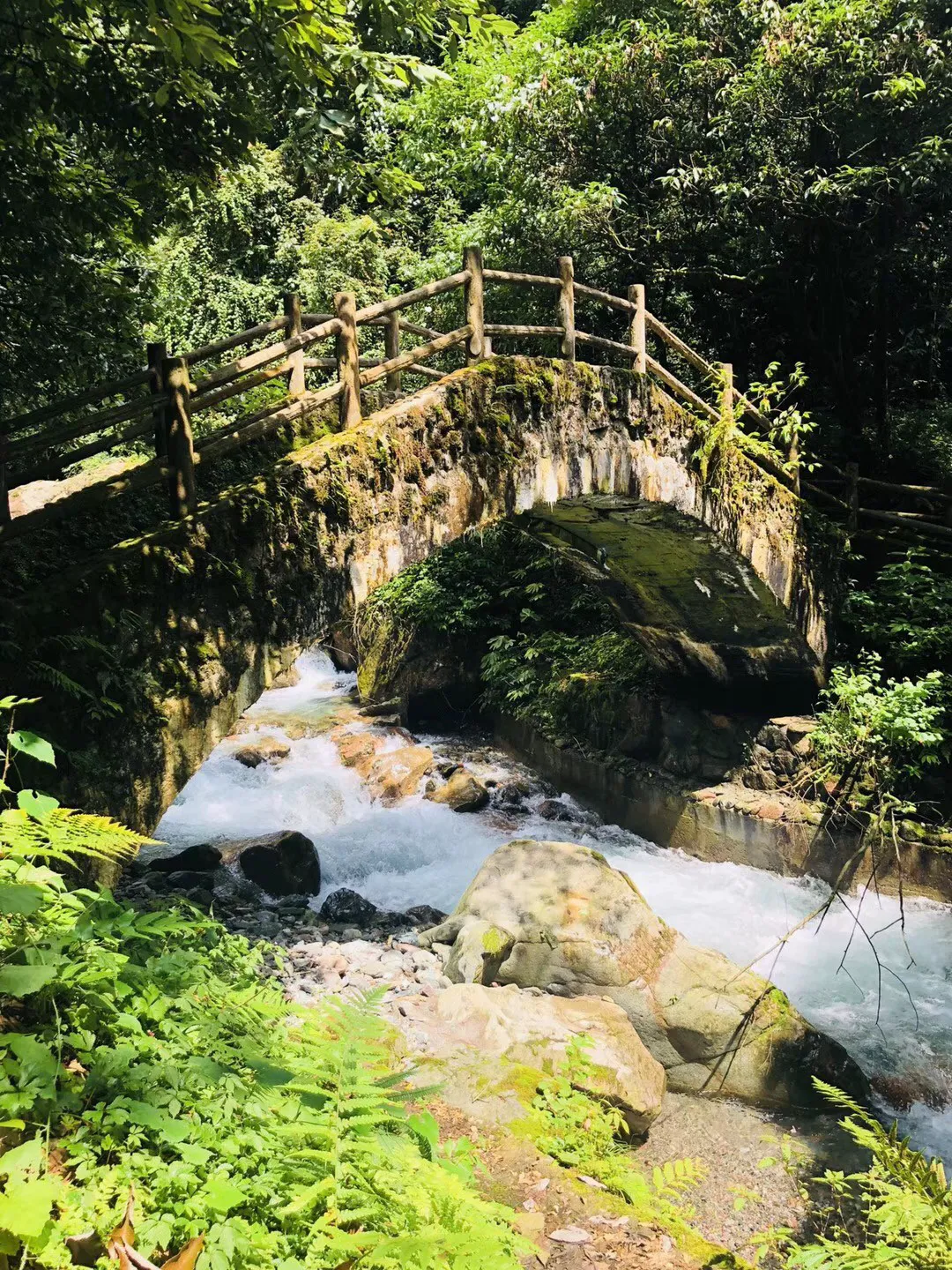 探索知识星球平台,一起加入阿胶价格被炒得越来越高了,阿胶究竟有什么保健价值呢?的世界